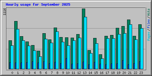 Hourly usage for September 2025