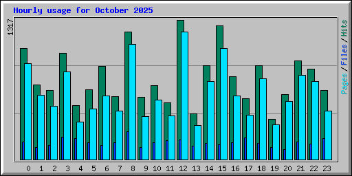 Hourly usage for October 2025
