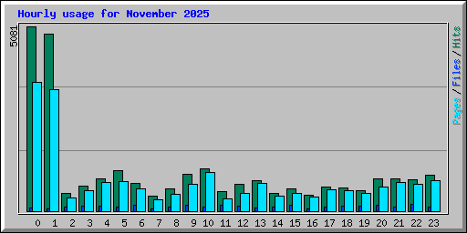 Hourly usage for November 2025