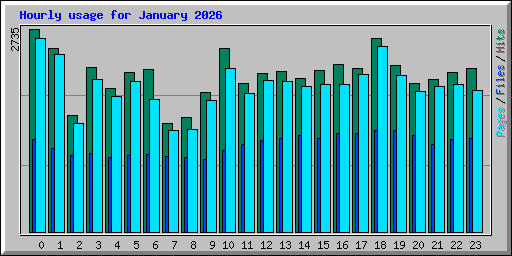 Hourly usage for January 2026