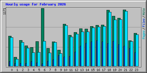 Hourly usage for February 2026